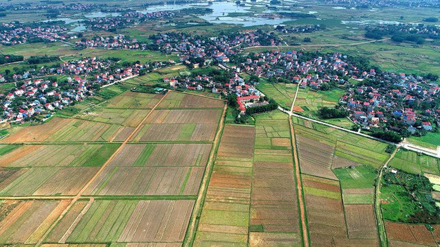  Báo cáo Thủ tướng dự án trường đua ngựa gần 10.000 tỷ đồng ở Sóc Sơn  - Ảnh 1.