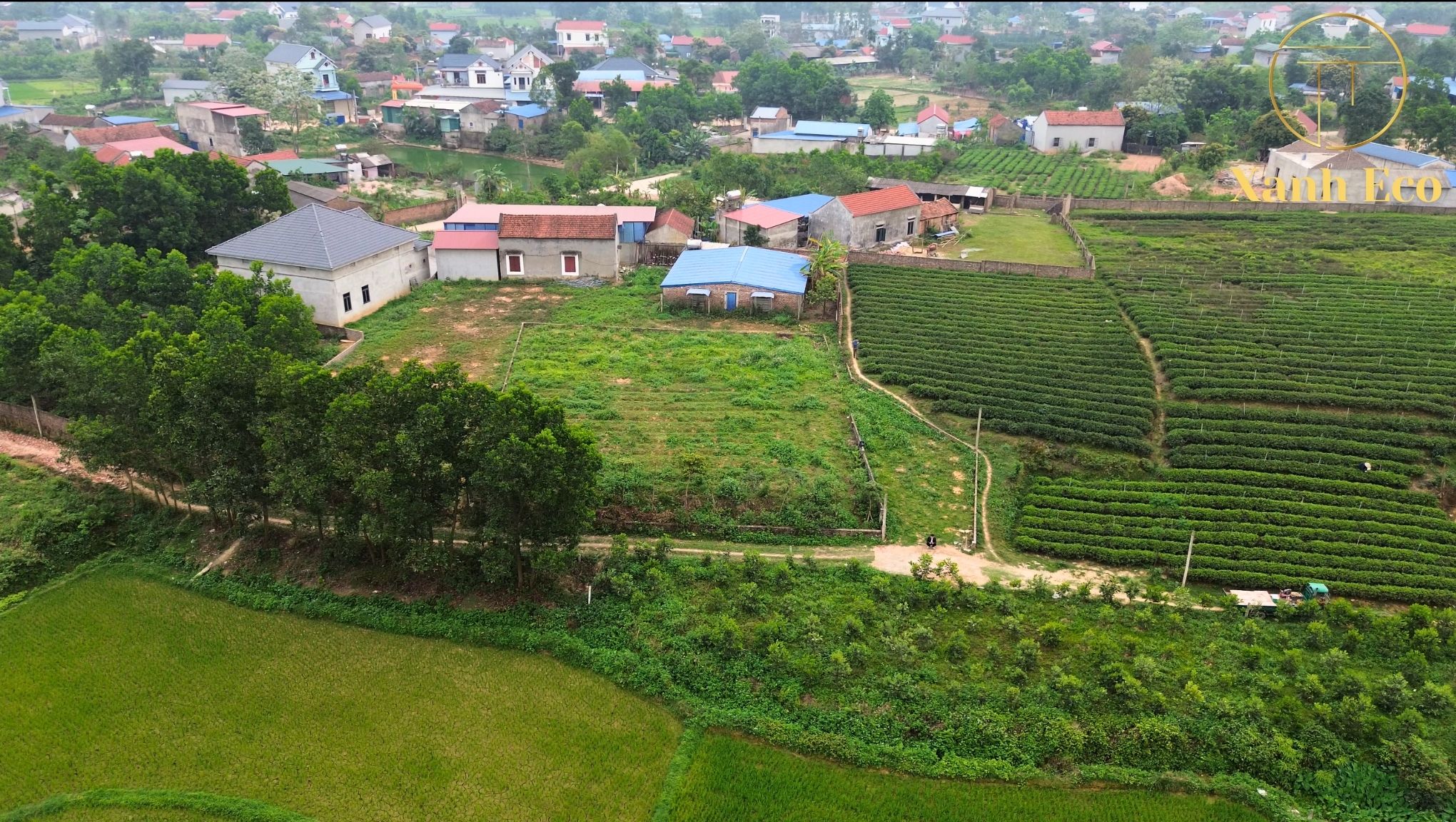 Mua đất Thái Nguyên